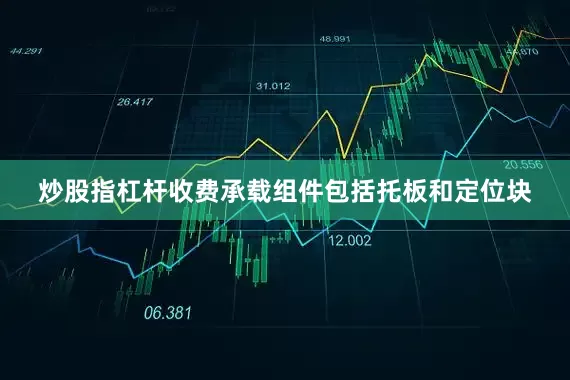 炒股指杠杆收费承载组件包括托板和定位块